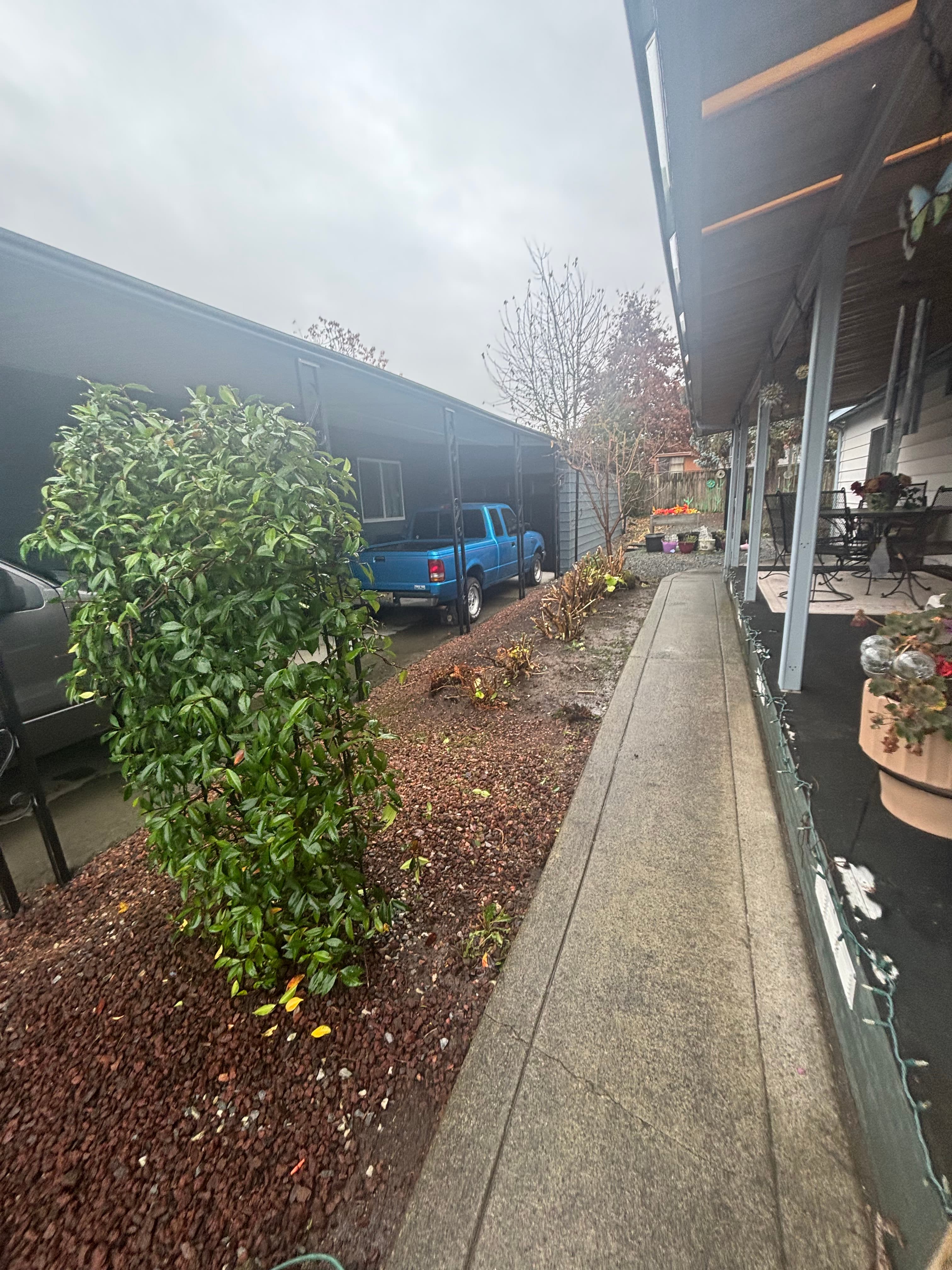 Seeding & Fertilizing | residential lawn care service in Renton, WA