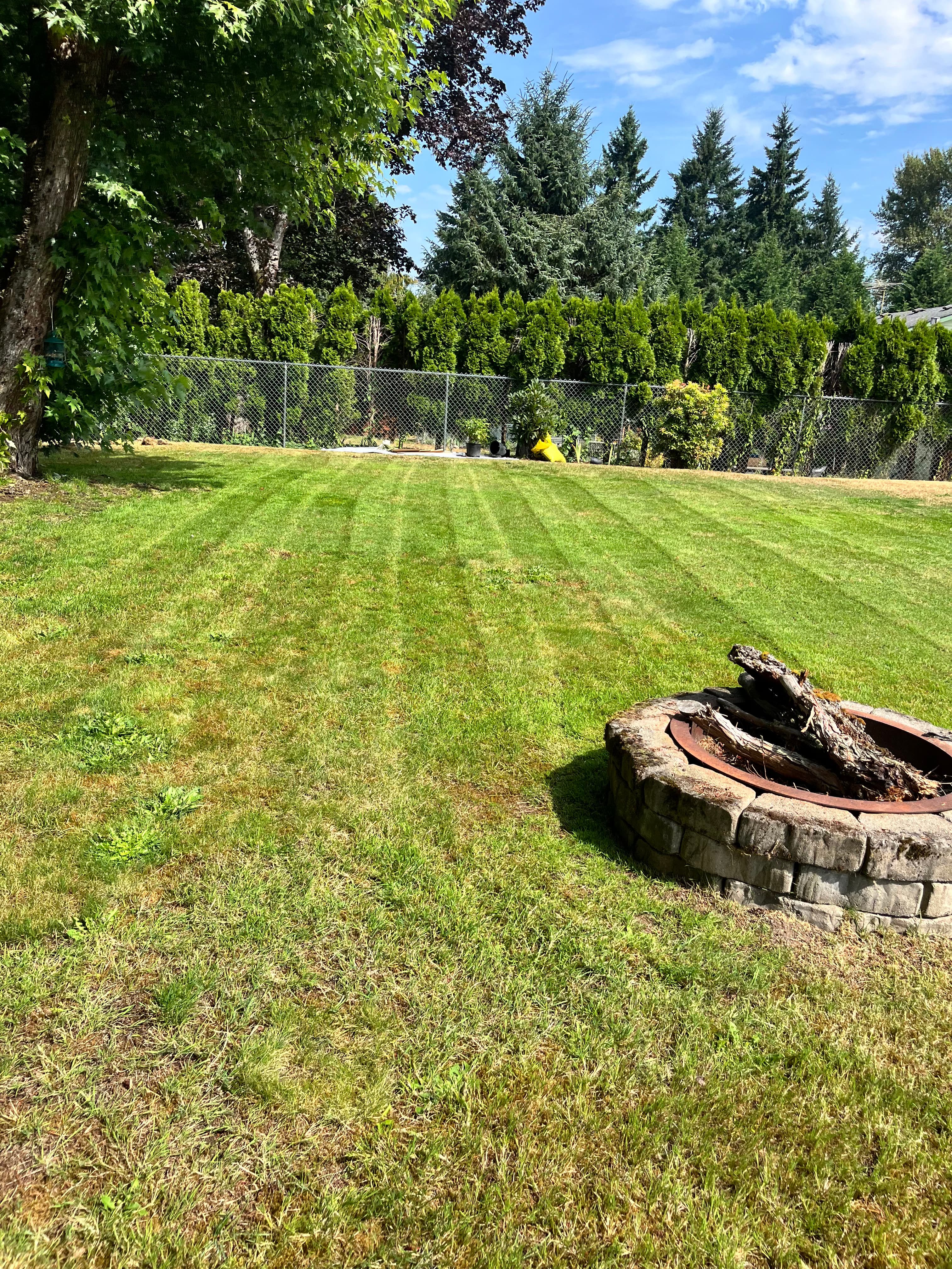 Yard restoration