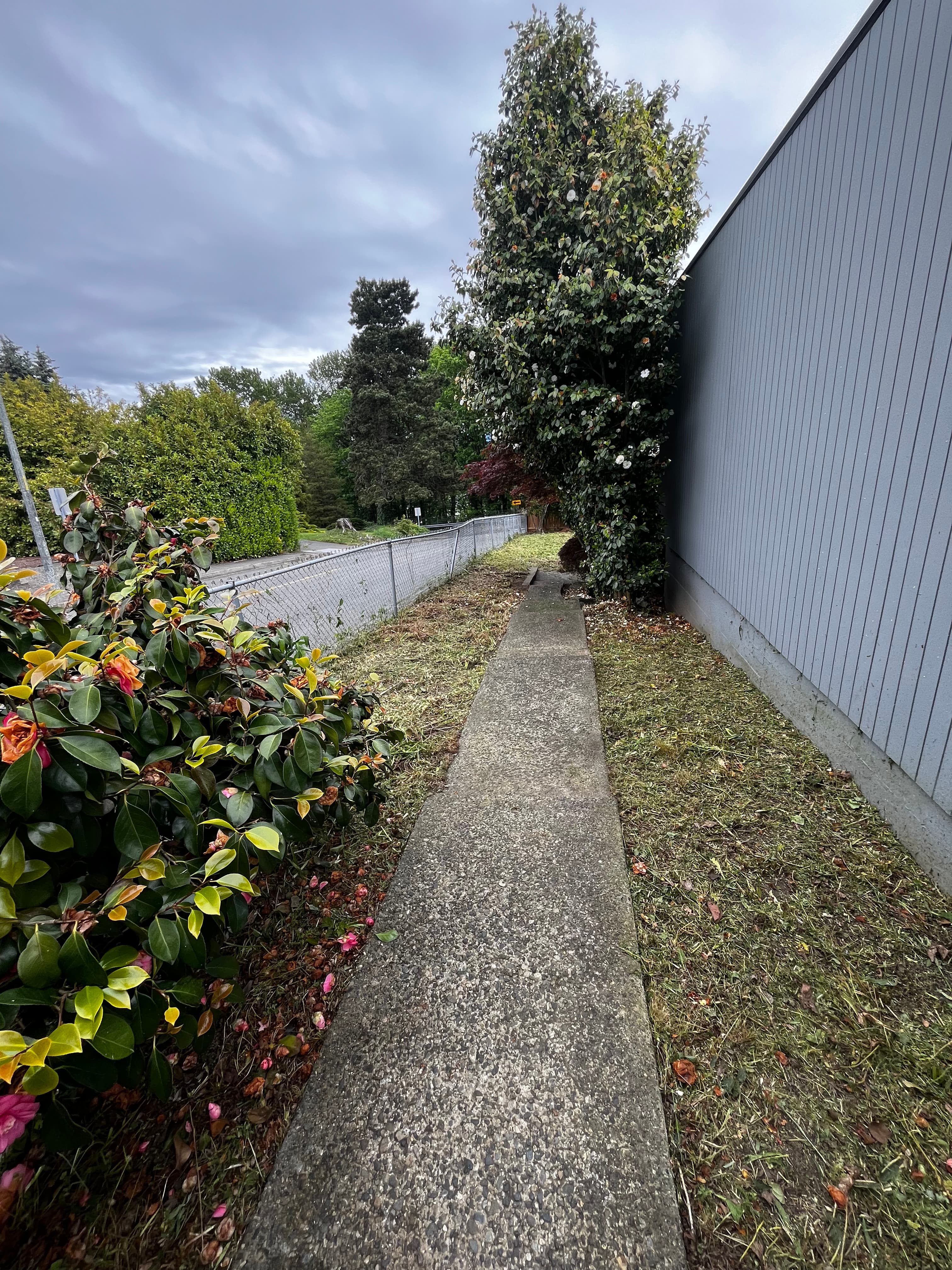 Professional edging work